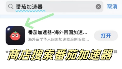 海外华人加速器教程