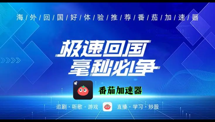 闪电回国vpn windows教程